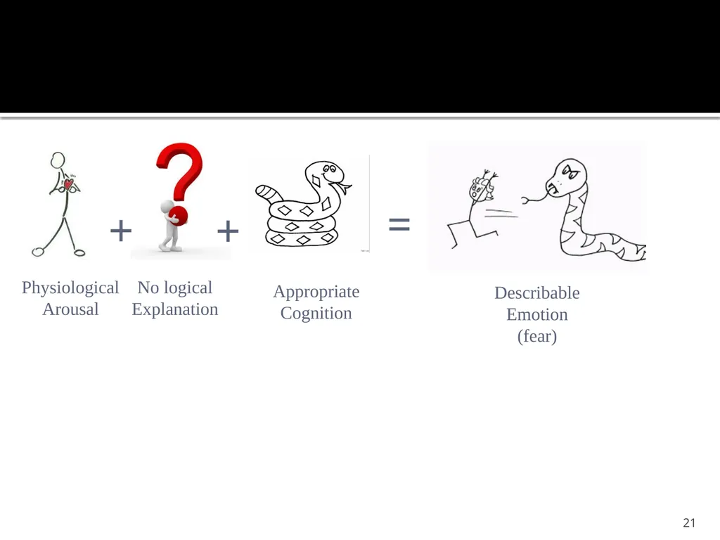 Schachter & Singer (1962) Cognitive, social and - slide 21 of 65