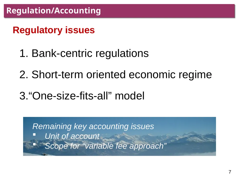 IAIS Annual Conference Panel Leveraging insurance - slide 7 of 8