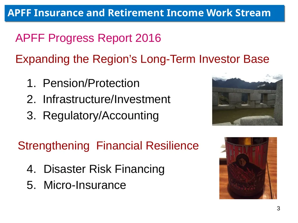 IAIS Annual Conference Panel Leveraging insurance - slide 3 of 8