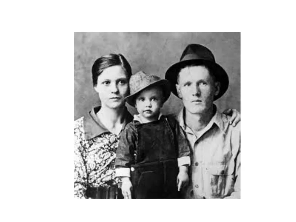 "Stars As Images” Hollywood and Elvis Richard Dyer - slide 30 of 45
