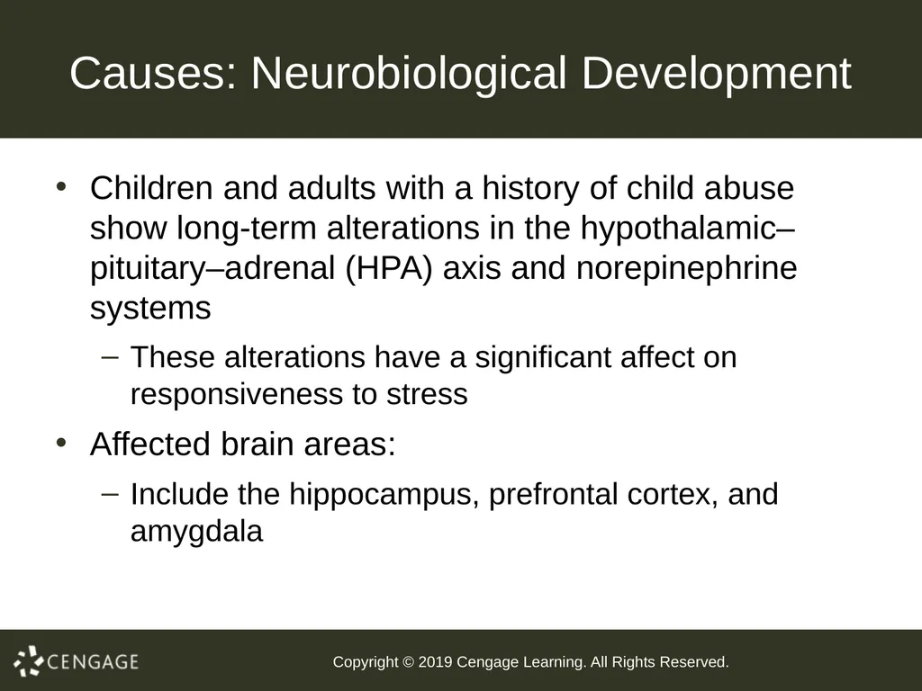 Abnormal Child Psychology Seventh Edition Chapter - slide 79 of 86