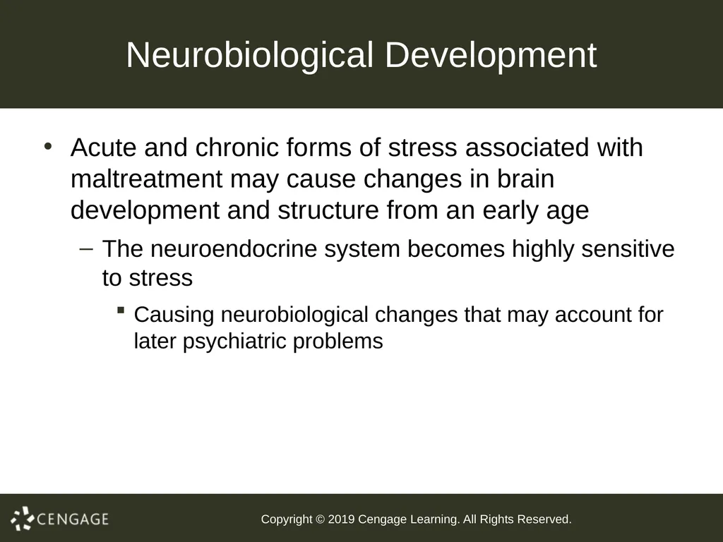 Abnormal Child Psychology Seventh Edition Chapter - slide 80 of 86
