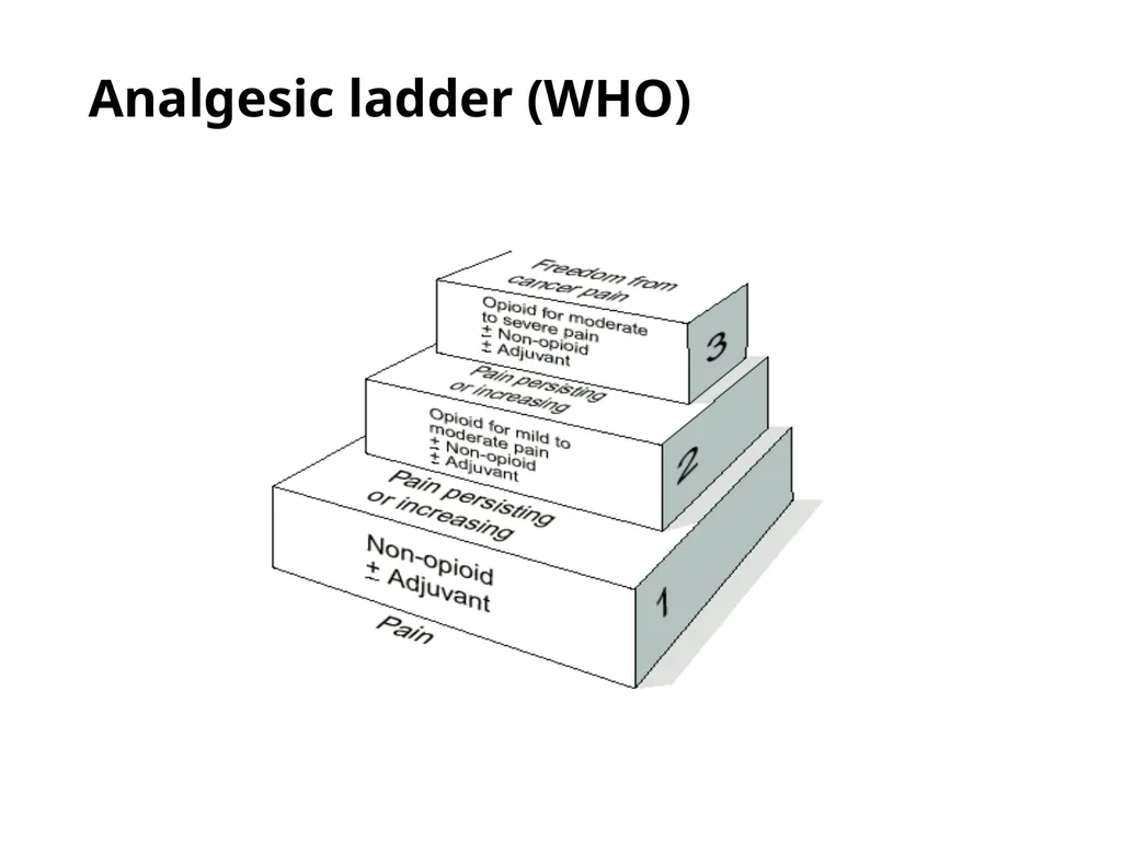 Pain Assessment & Management in Palliative Care - slide 12 of 28