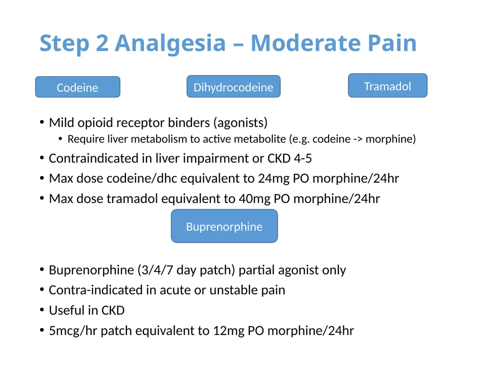Pain Assessment & Management in Palliative Care - slide 18 of 28