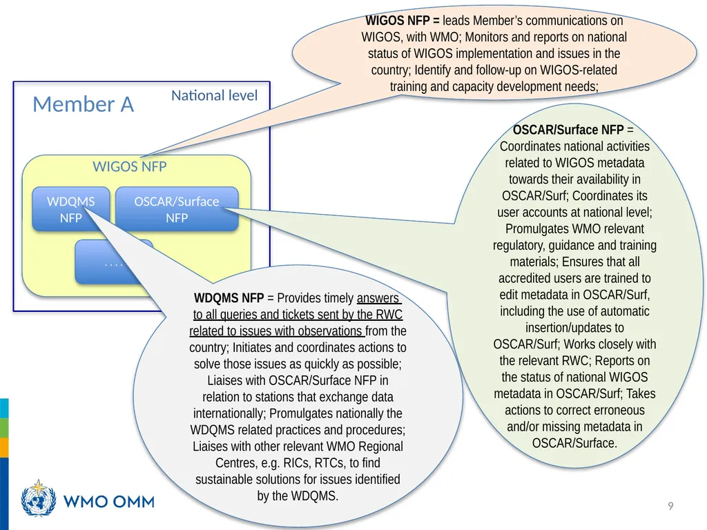 Roles and responsibilities in WDQMS Recalling the - slide 9 of 11