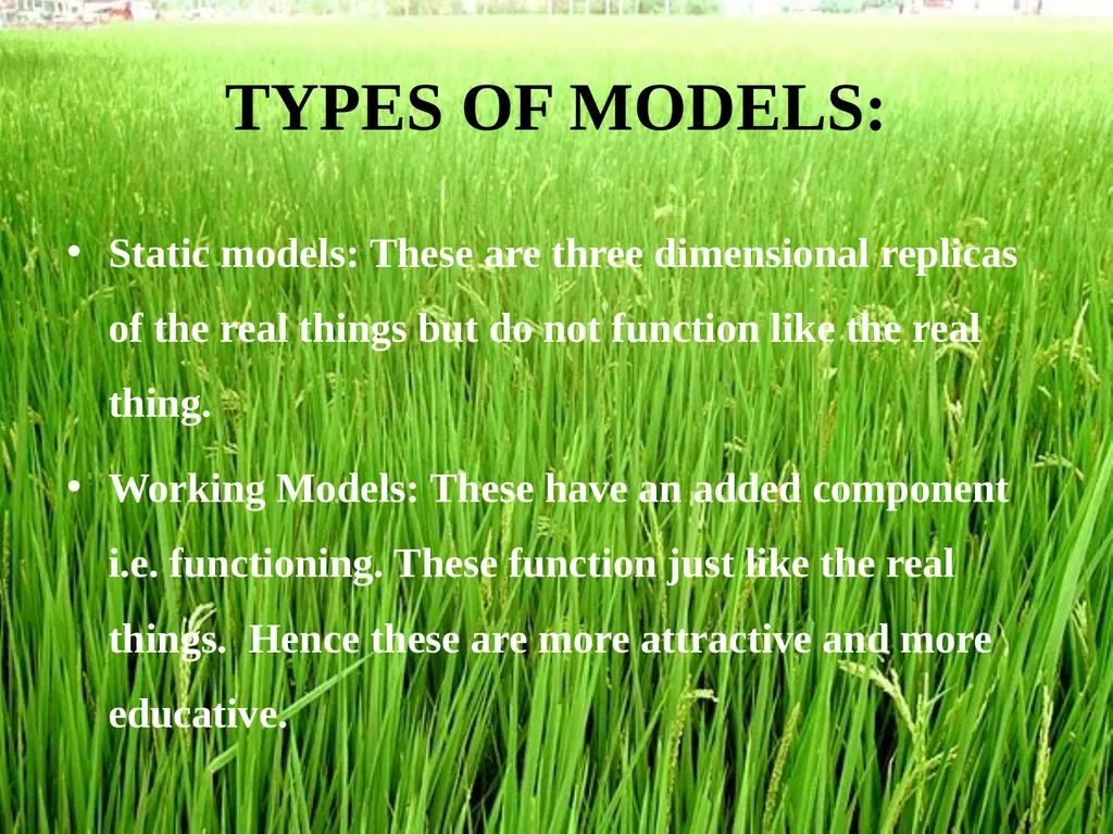 MODELS – STATIC AND WORKING Dr. M.B.Kori M.A, - slide 3 of 7