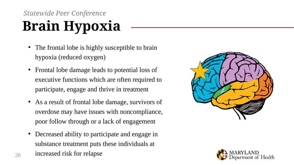 Connection and Consequences: opioid use, overdose - slide 26 of 44