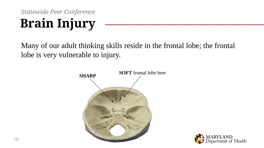 Connection and Consequences: opioid use, overdose - slide 10 of 44