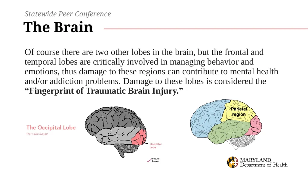Connection and Consequences: opioid use, overdose - slide 9 of 44