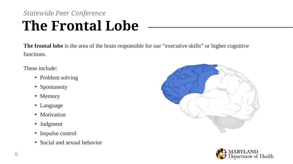Connection and Consequences: opioid use, overdose - slide 6 of 44