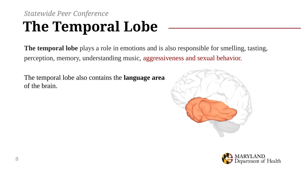 Connection and Consequences: opioid use, overdose - slide 8 of 44