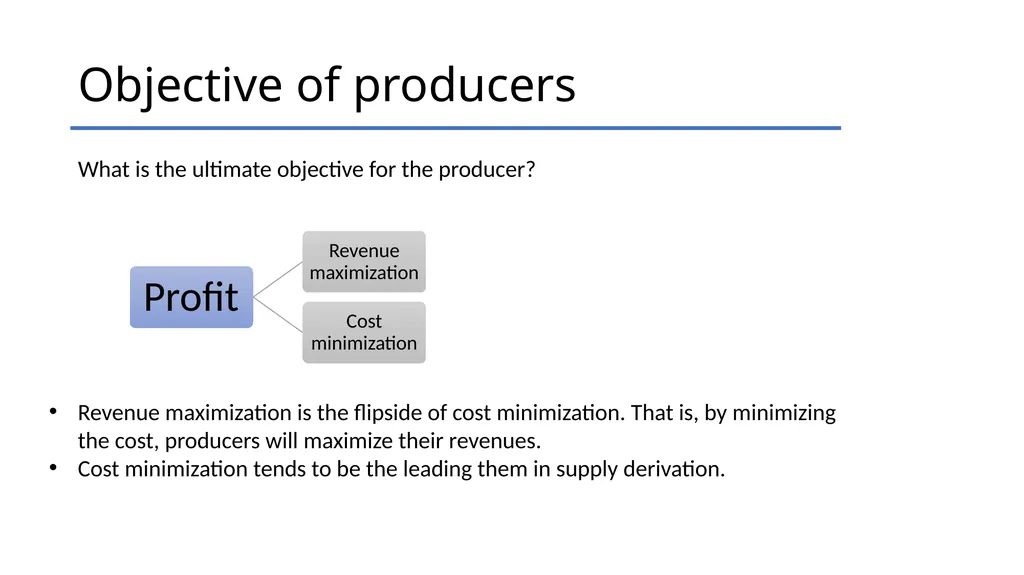 Producer’s Supply Roadmap: from inputs to supply - slide 4 of 22