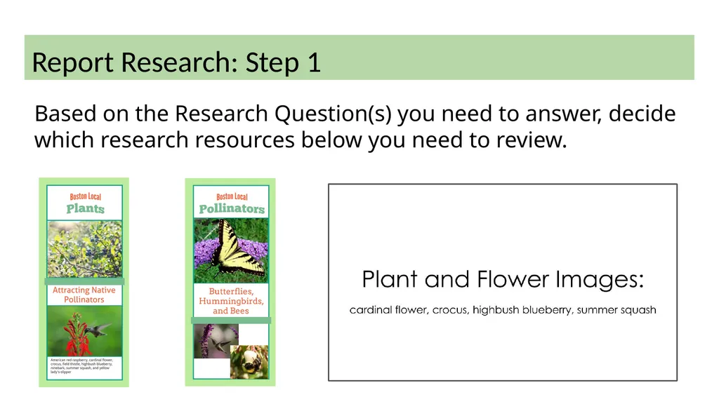 The Third Person and Research Writing Unit 4 Week - slide 7 of 10