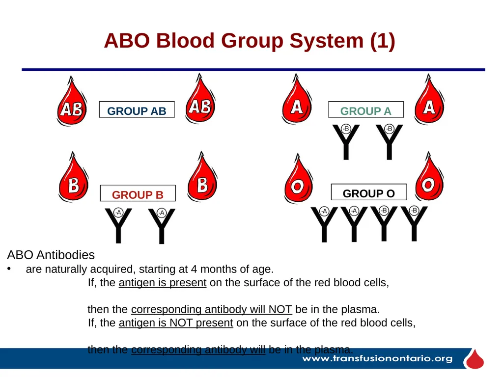 The Elephant in the Transfusionist’s Skill Set: - slide 10 of 44