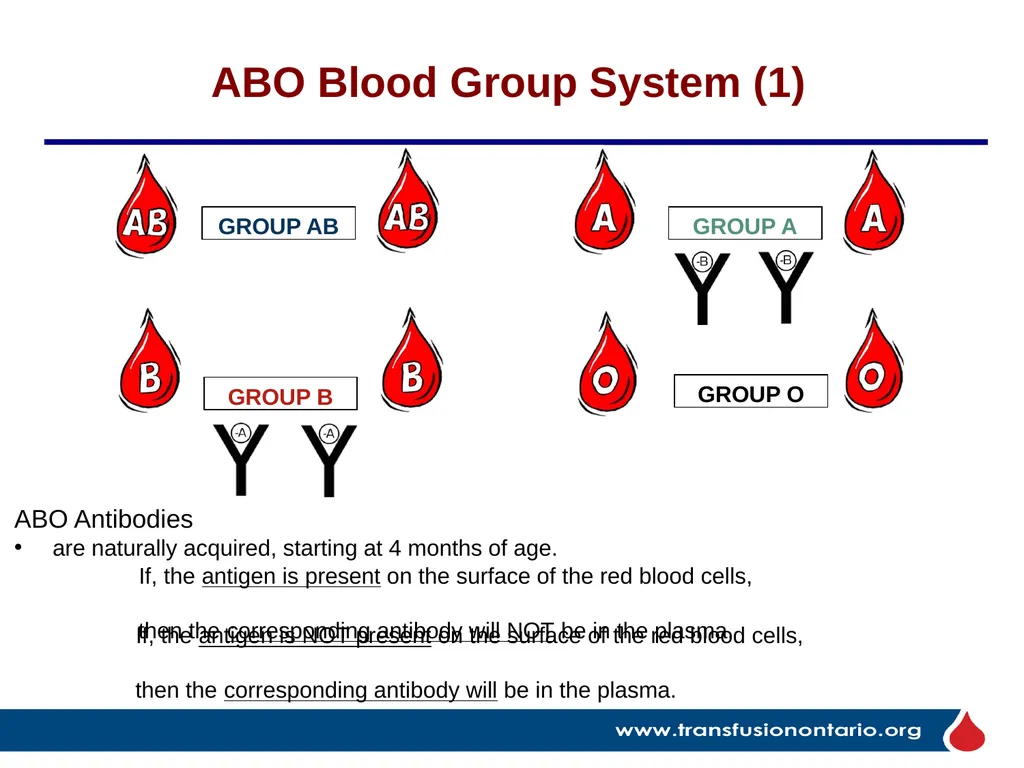 The Elephant in the Transfusionist’s Skill Set: - slide 8 of 44