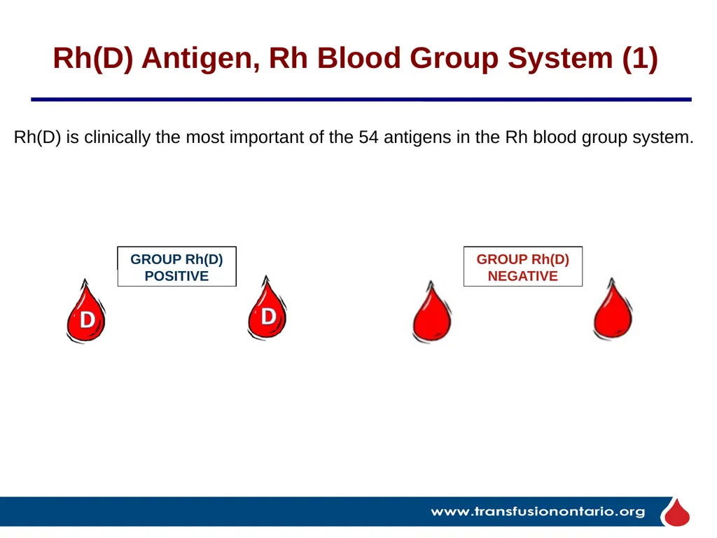 The Elephant in the Transfusionist’s Skill Set: - slide 15 of 44