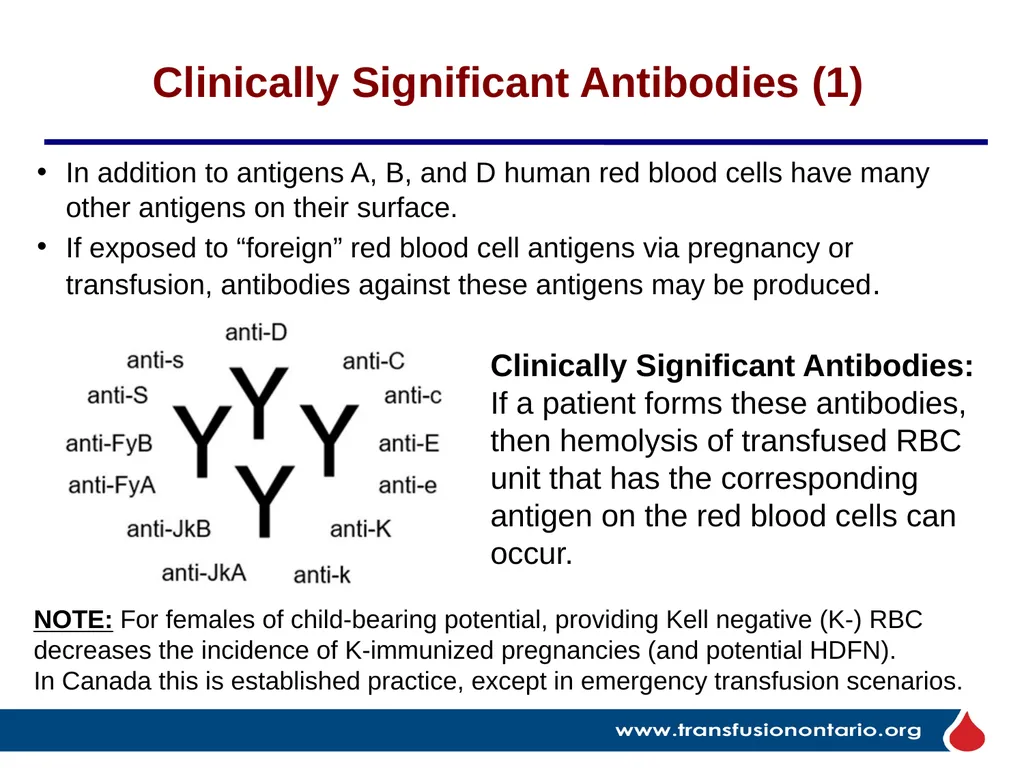 The Elephant in the Transfusionist’s Skill Set: - slide 18 of 44