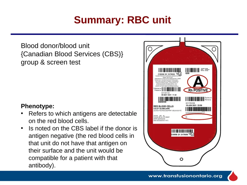 The Elephant in the Transfusionist’s Skill Set: - slide 23 of 44
