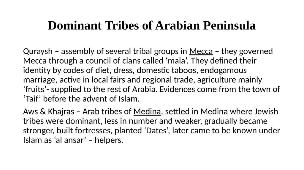 Societies in Central Islamic Lands Tribal - slide 8 of 23