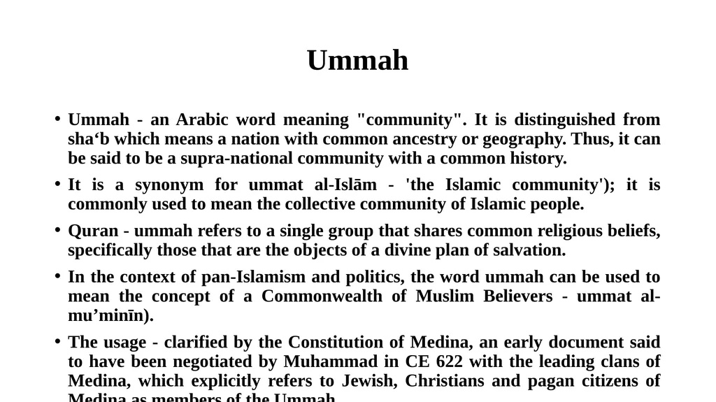 Societies in Central Islamic Lands Tribal - slide 12 of 23