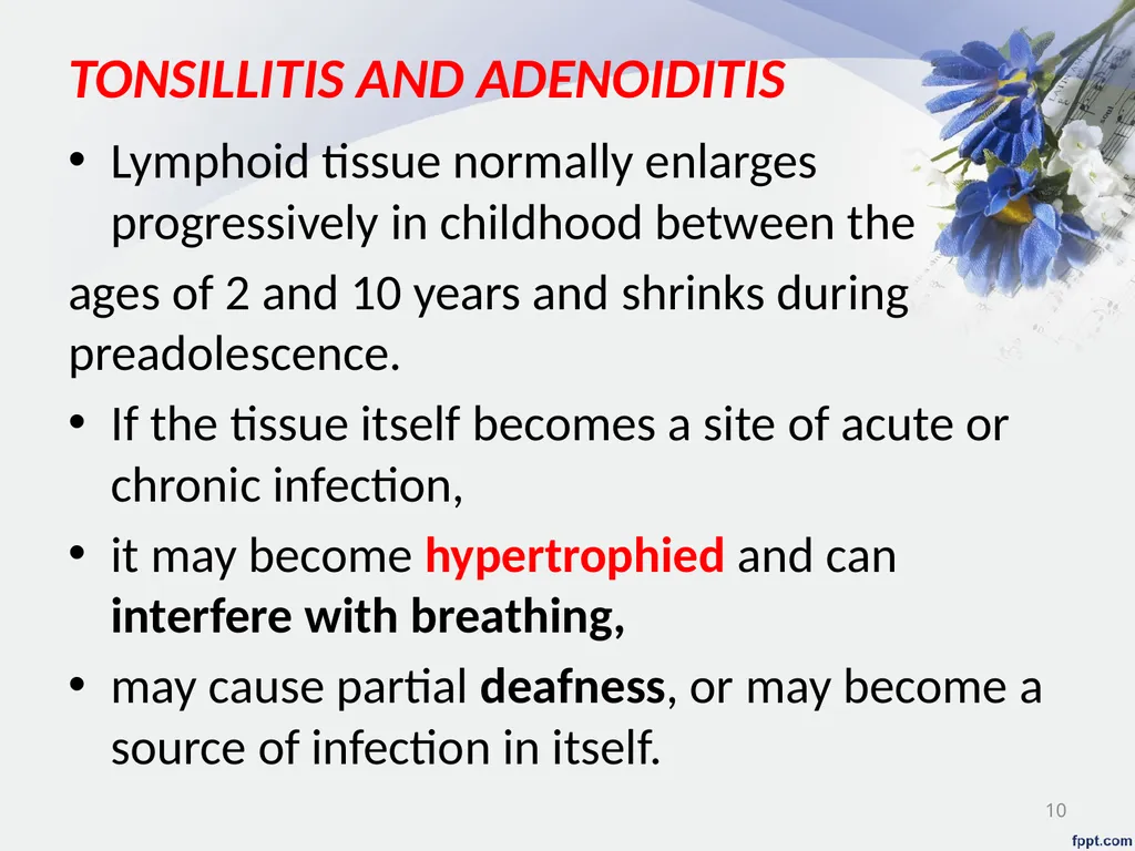 Upper Respiratory System Disorder Lecturer - slide 10 of 26