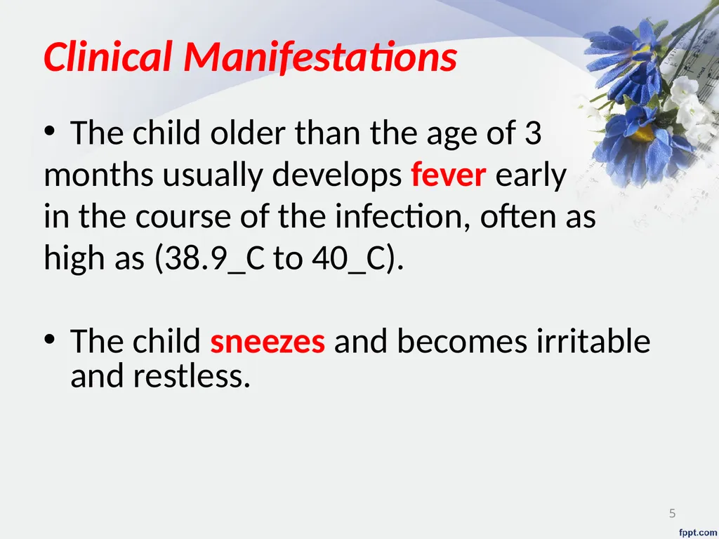Upper Respiratory System Disorder Lecturer - slide 5 of 26