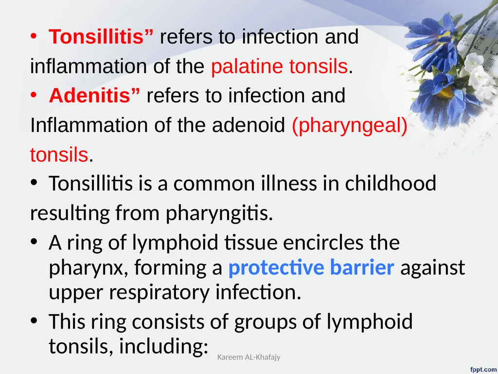 Upper Respiratory System Disorder Lecturer - slide 12 of 26
