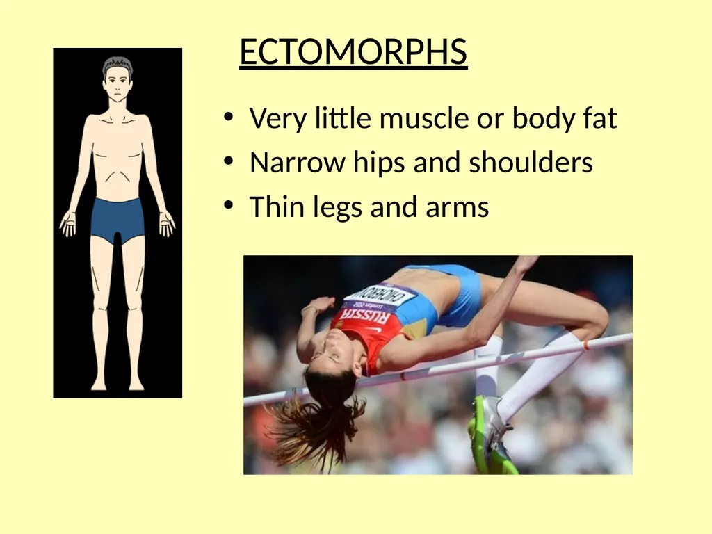 Somatotypes – what you should know Knowledge – - slide 4 of 10