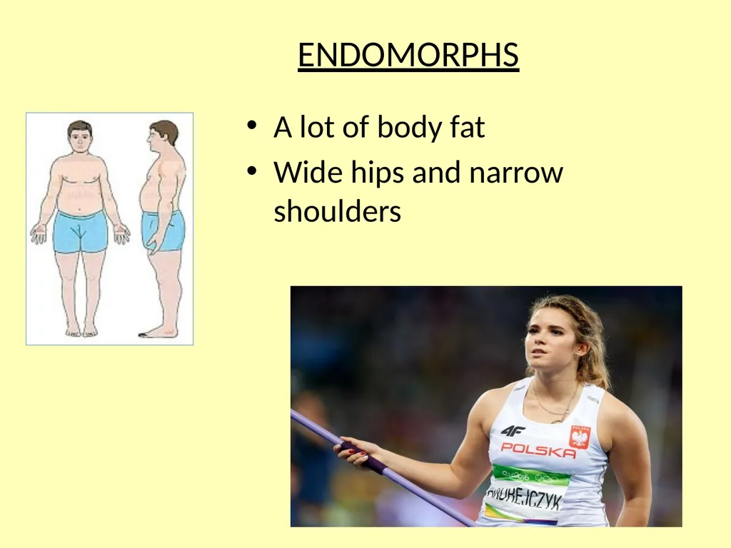 Somatotypes – what you should know Knowledge – - slide 3 of 10