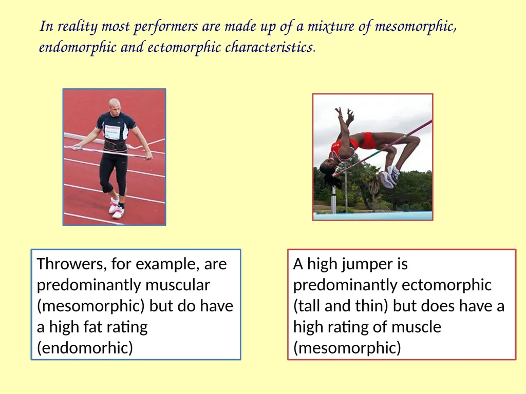 Somatotypes – what you should know Knowledge – - slide 7 of 10