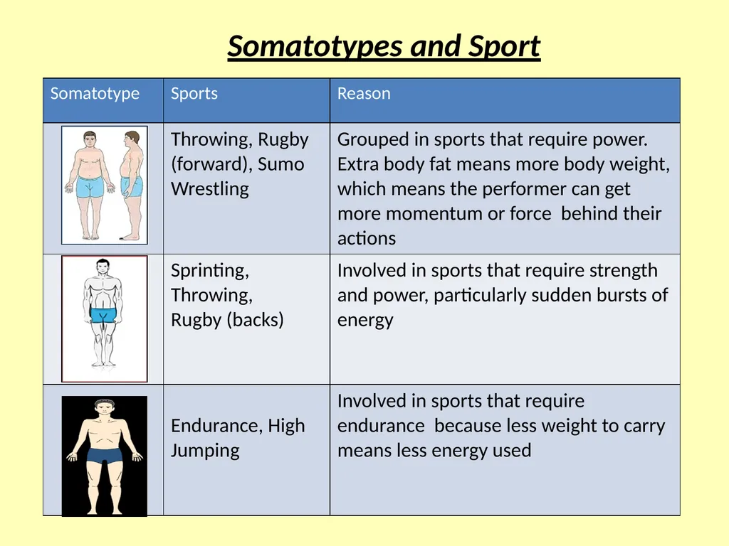 Somatotypes – what you should know Knowledge – - slide 6 of 10