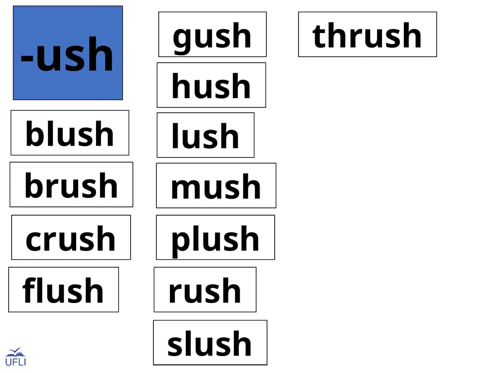 Phonogram Word Cards U Phonograms Note: Use these - slide 17 of 19