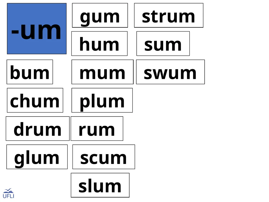 Phonogram Word Cards U Phonograms Note: Use these - slide 10 of 19