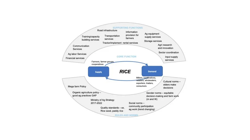 Supporting functions Rules & Norms Core function - slide 2 of 2