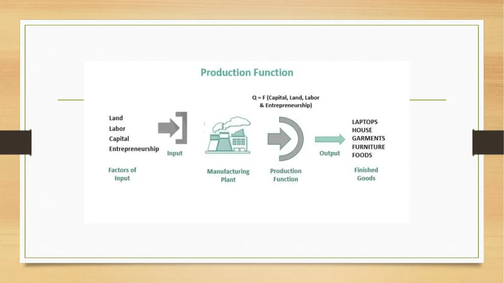 Production Function Production Function The - slide 3 of 9