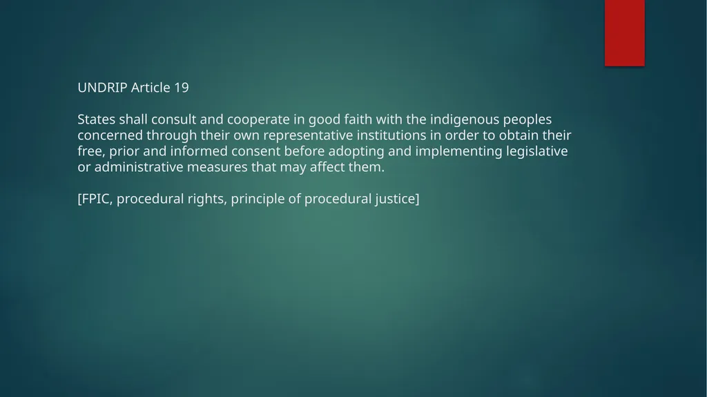 Taking UNDRIP Seriously indigenous peoples have - slide 9 of 17