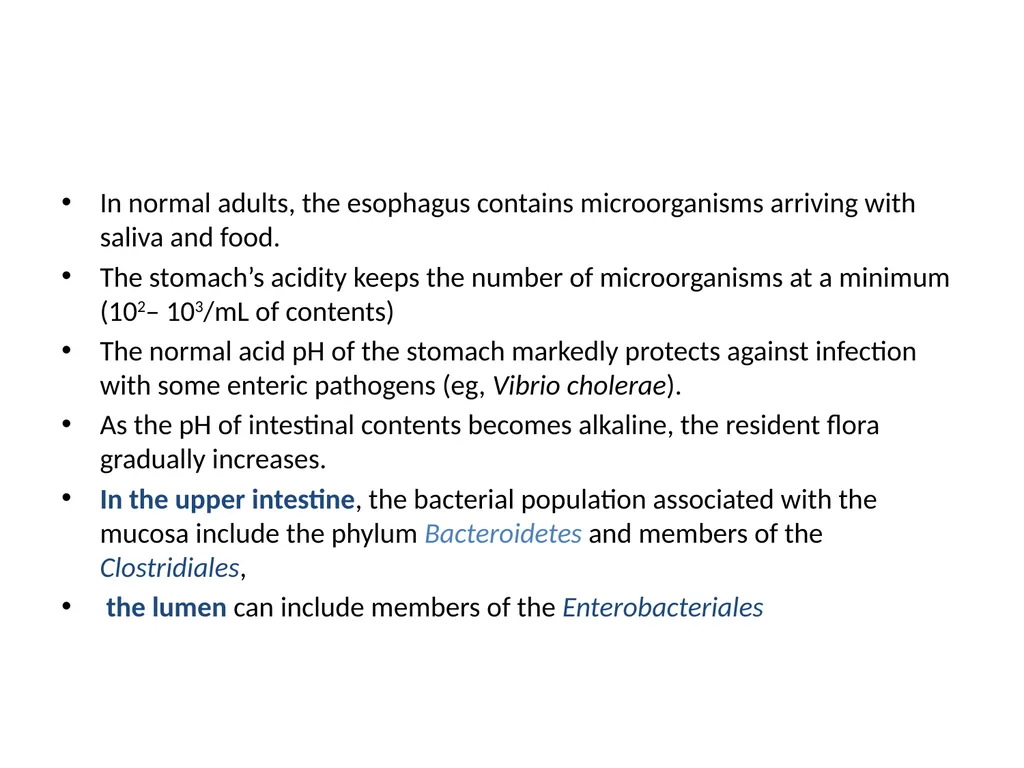 Normal Human Microbiota Dr. Ali Abdulwahid - slide 17 of 27