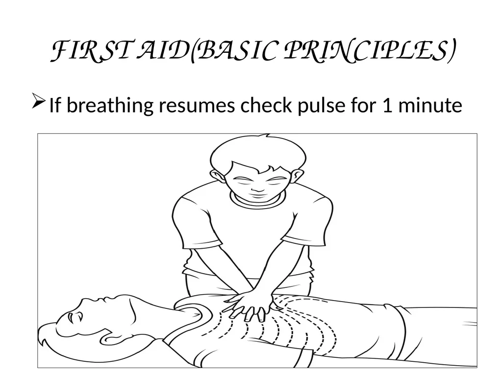 CRASH SCENE MANAGEMENT AND CASUALTY EVACUATION - slide 44 of 54