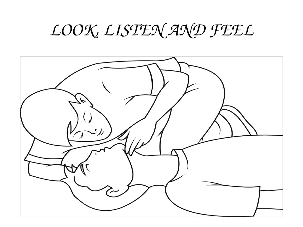 CRASH SCENE MANAGEMENT AND CASUALTY EVACUATION - slide 42 of 54
