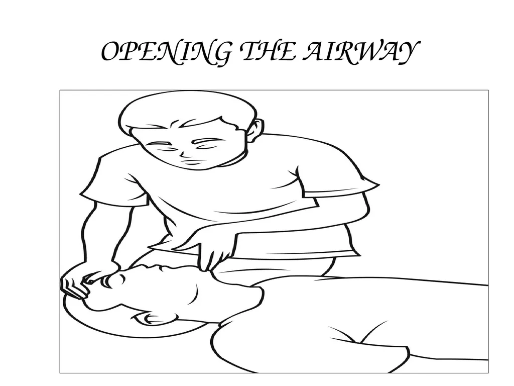 CRASH SCENE MANAGEMENT AND CASUALTY EVACUATION - slide 41 of 54