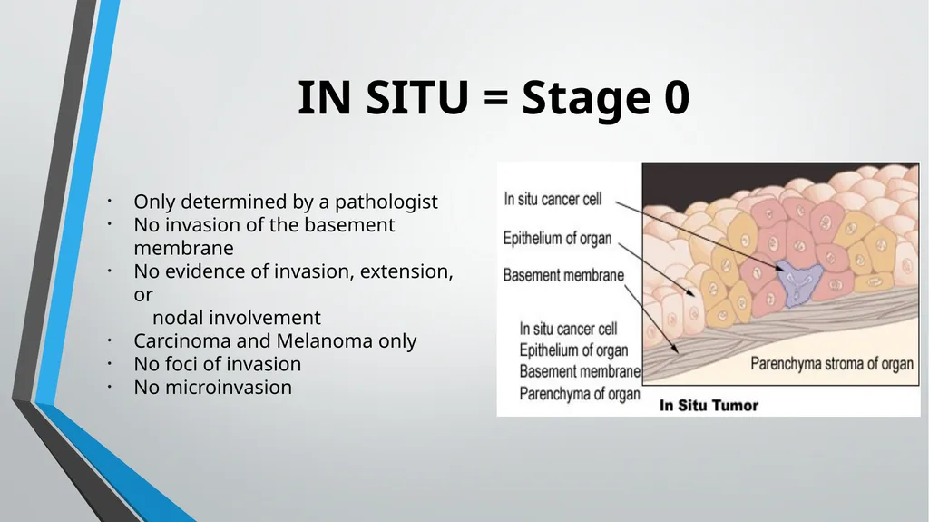 Directly Coded Summary Stage Nicole Catlett, CTR - slide 21 of 41