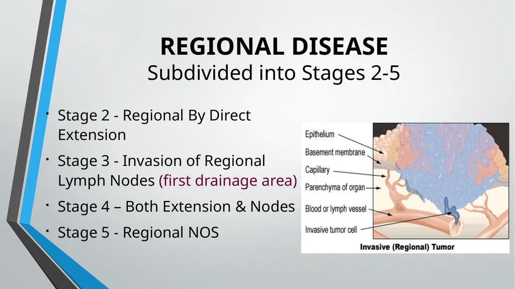 Directly Coded Summary Stage Nicole Catlett, CTR - slide 25 of 41