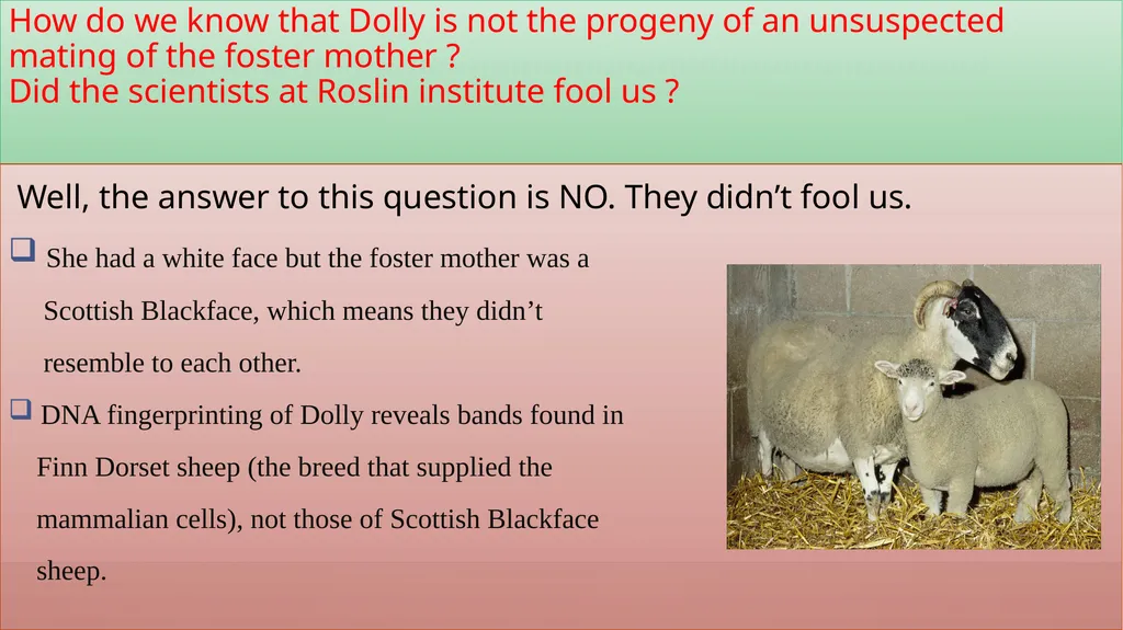DOLLY AND POLLY CLONING PARTICIPATING STUDENTS – - slide 10 of 17
