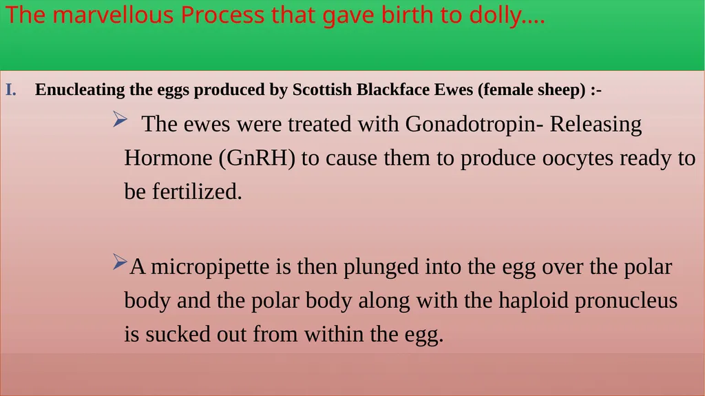 DOLLY AND POLLY CLONING PARTICIPATING STUDENTS – - slide 5 of 17