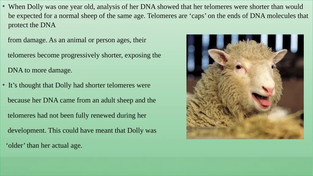 DOLLY AND POLLY CLONING PARTICIPATING STUDENTS – - slide 9 of 17