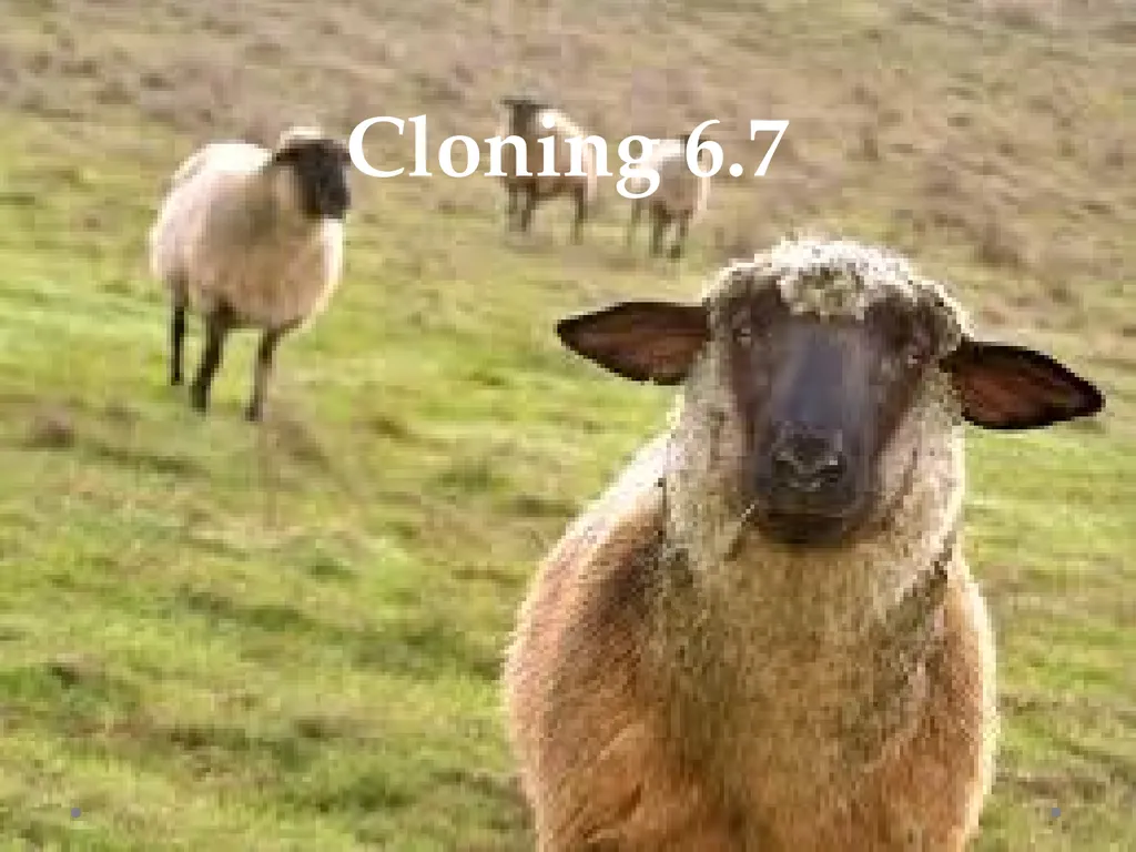 Cloning 6.7 Cloning Cloning is the process of - slide 1 of 9