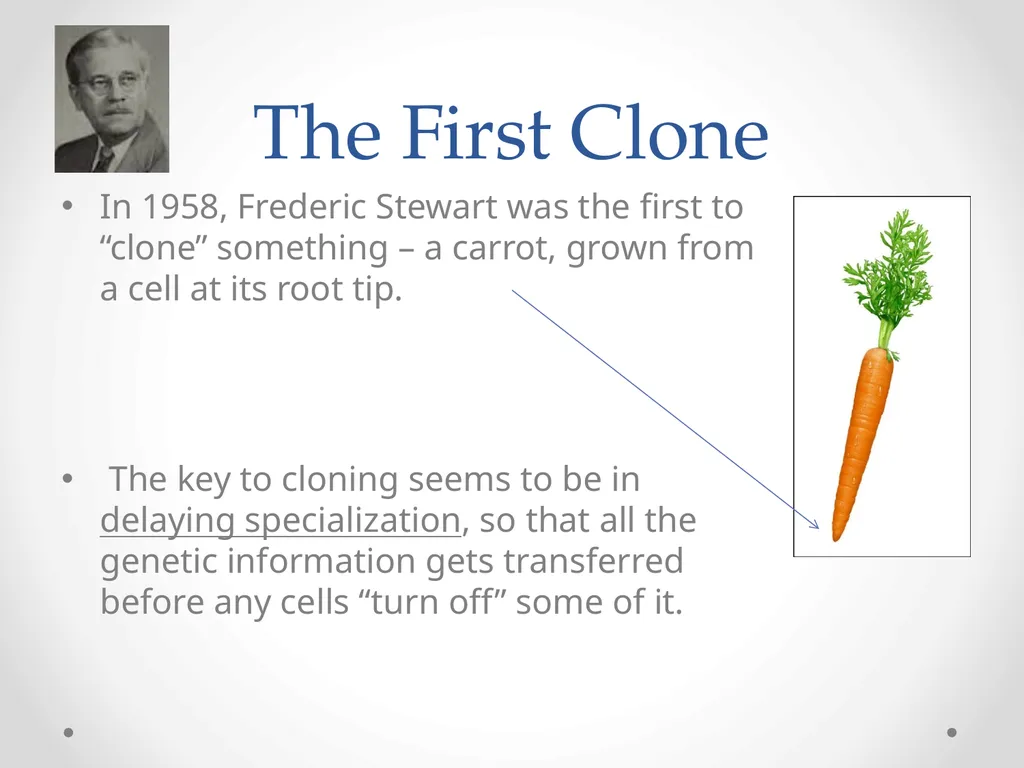 Cloning 6.7 Cloning Cloning is the process of - slide 3 of 9