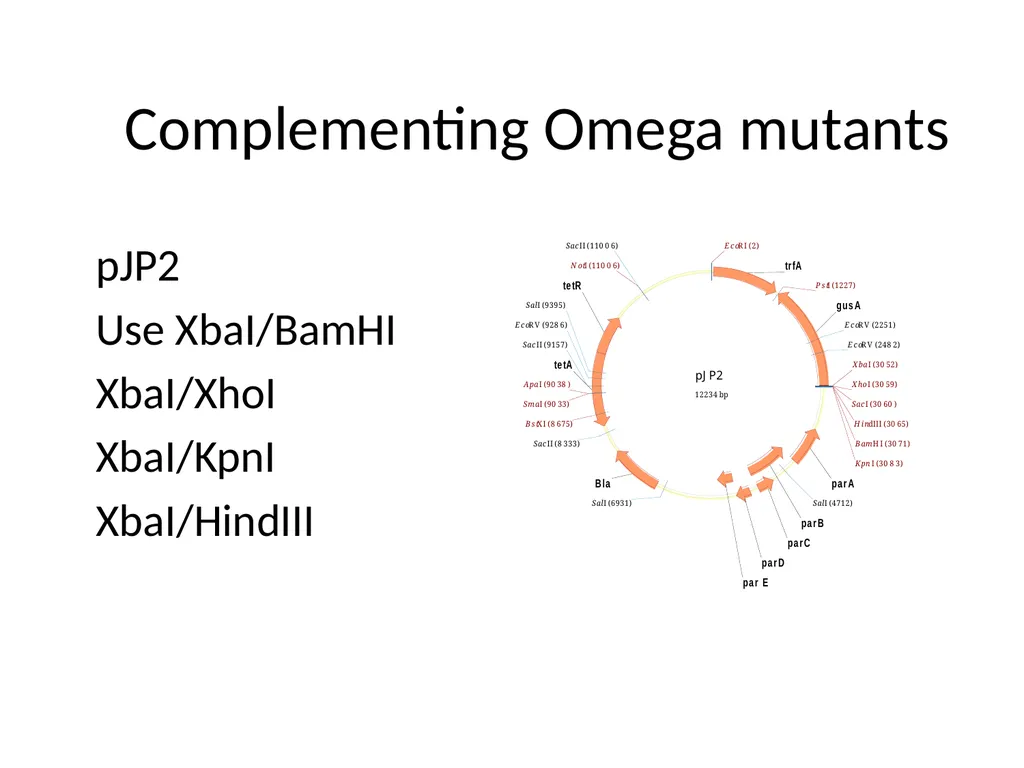 Cloning strategies in Rhizobium An overview KK PCR - slide 10 of 16