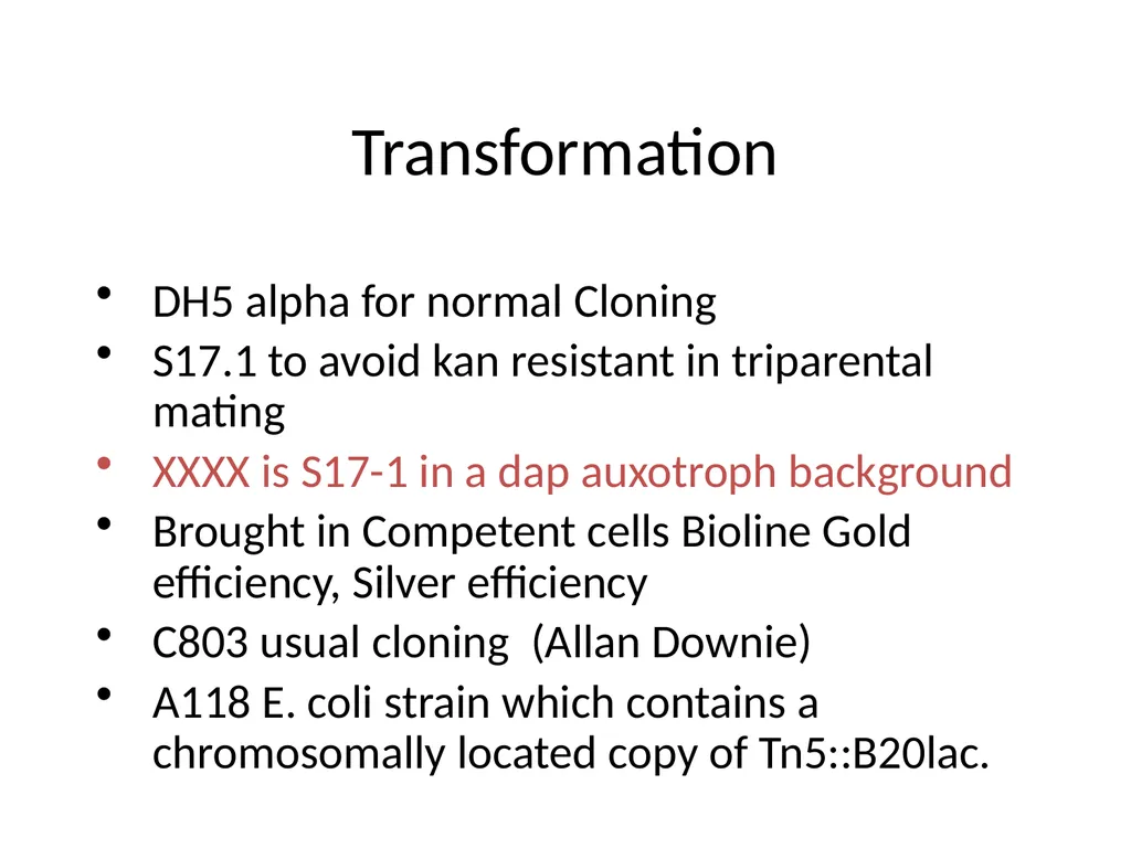 Cloning strategies in Rhizobium An overview KK PCR - slide 13 of 16