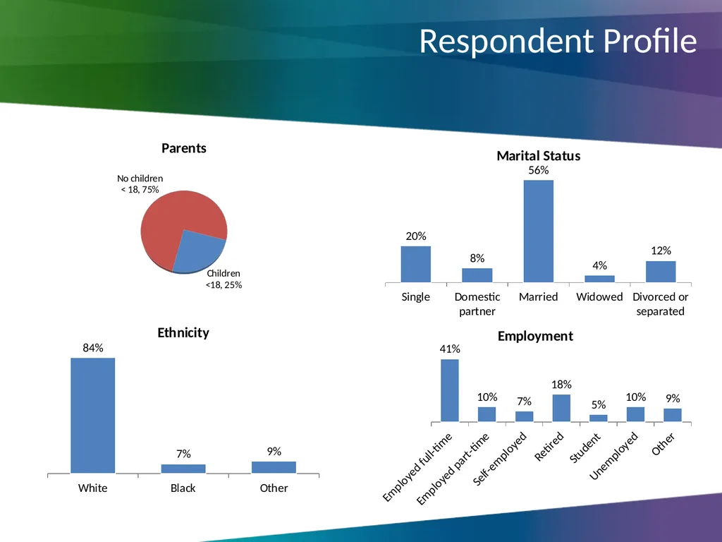 Online Fraud & Scams Survey Ian Brackenbury Thomas - slide 29 of 30